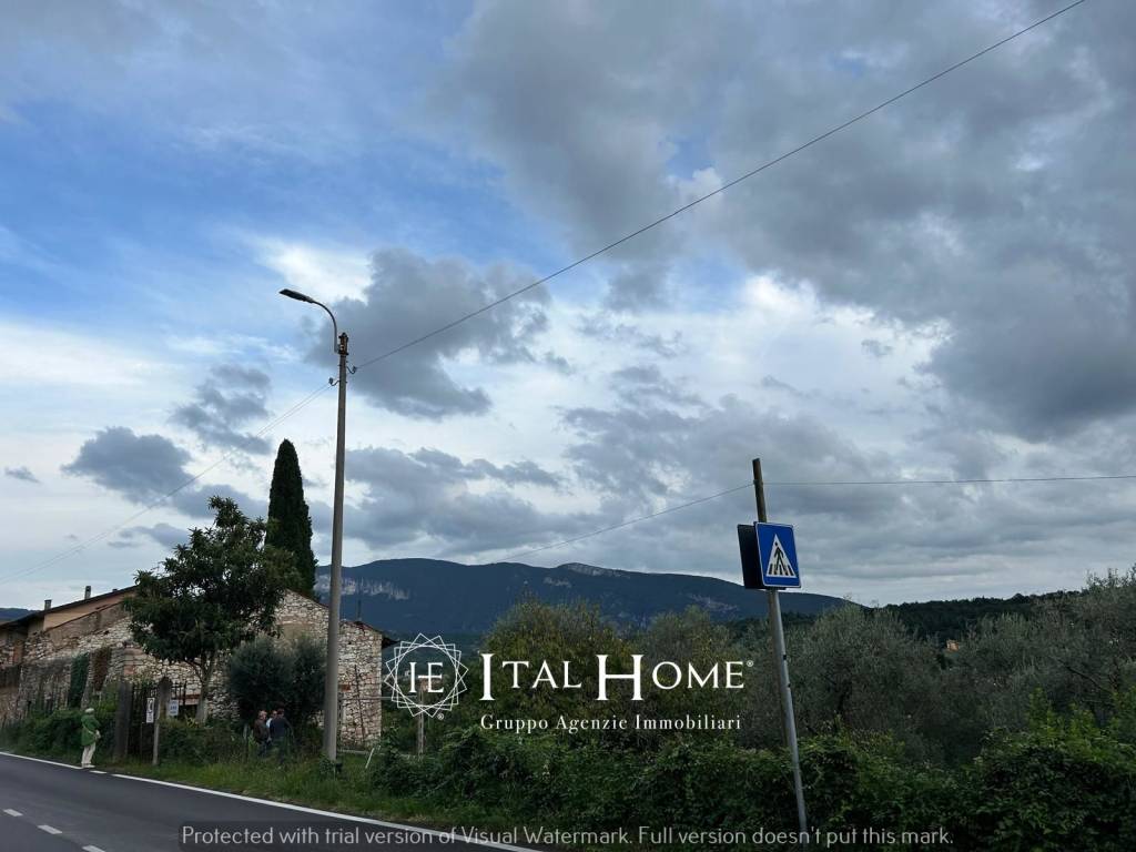 immagine annuncio 5 di 7