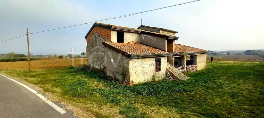 immagine annuncio 8 di 13