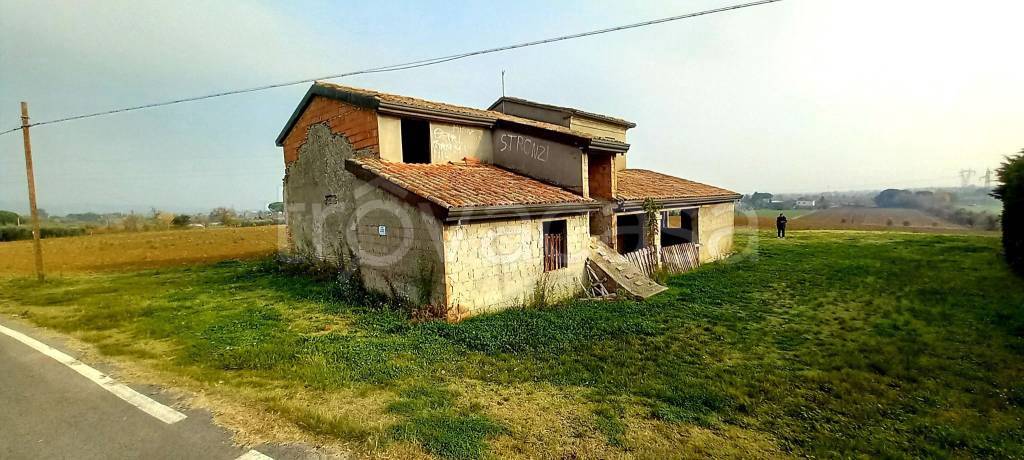 immagine annuncio 11 di 13