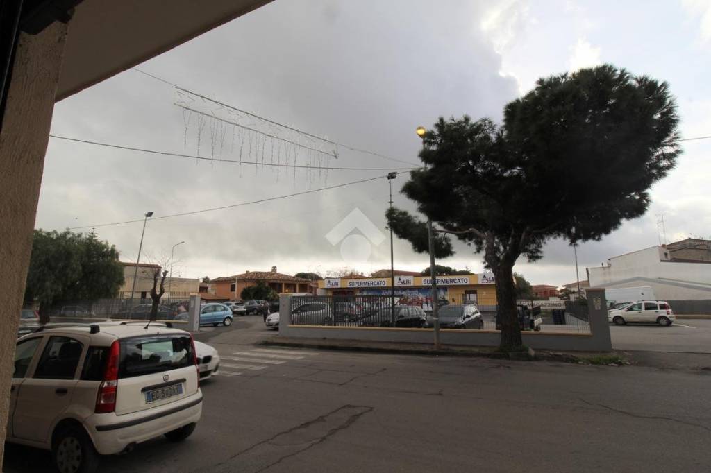 immagine annuncio 11 di 12