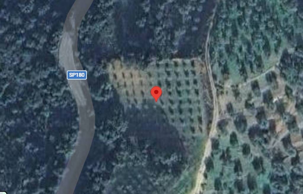 immagine annuncio 5 di 11