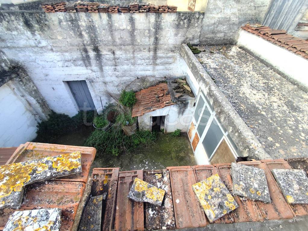 immagine annuncio 10 di 13