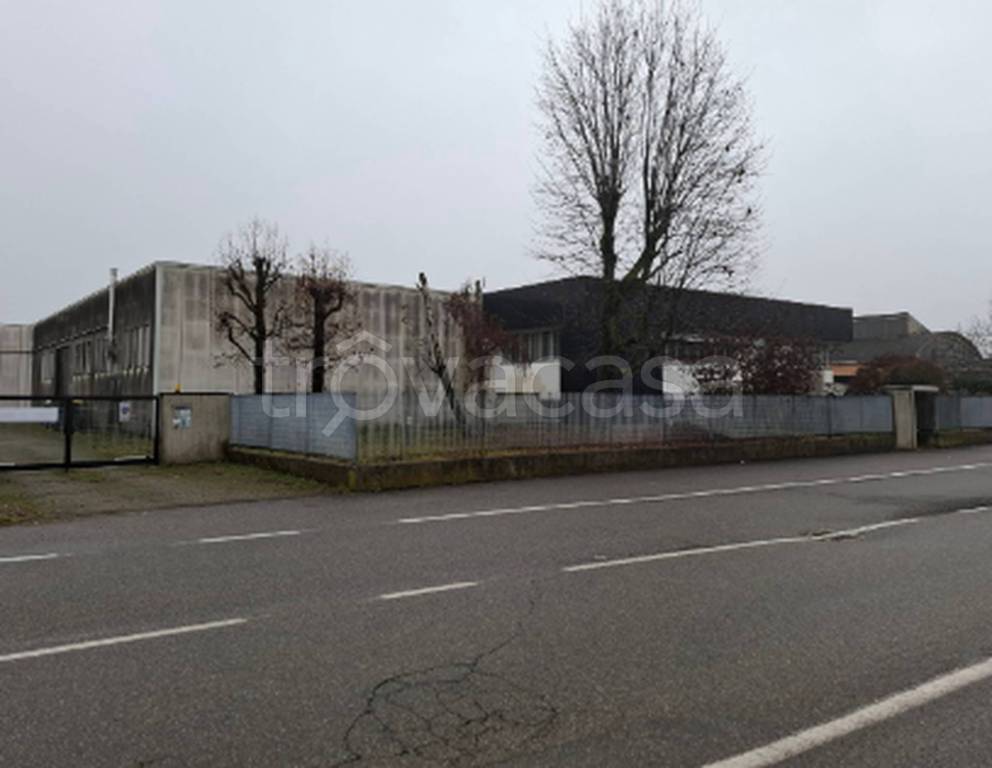 immagine annuncio 9 di 11