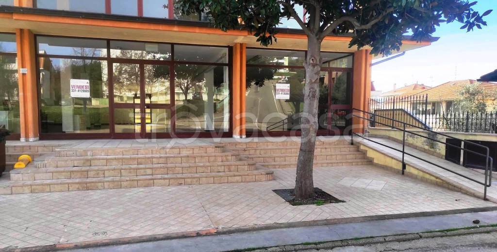 immagine annuncio 1 di 4