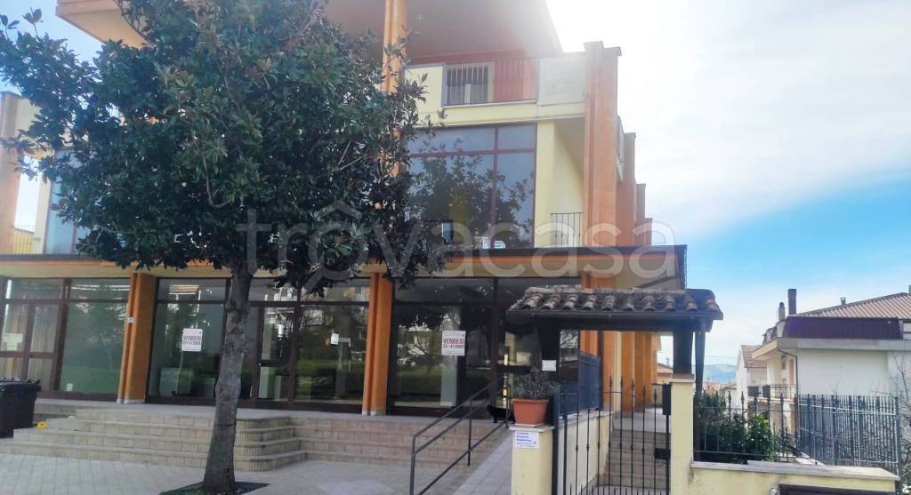 immagine annuncio 2 di 4