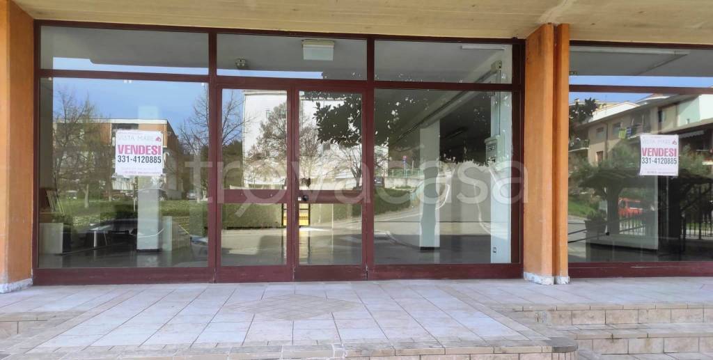 immagine annuncio 3 di 4