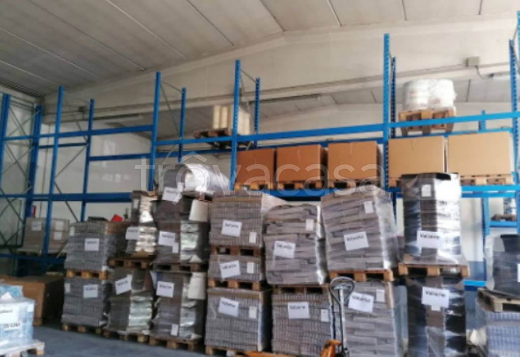 immagine annuncio 2 di 12