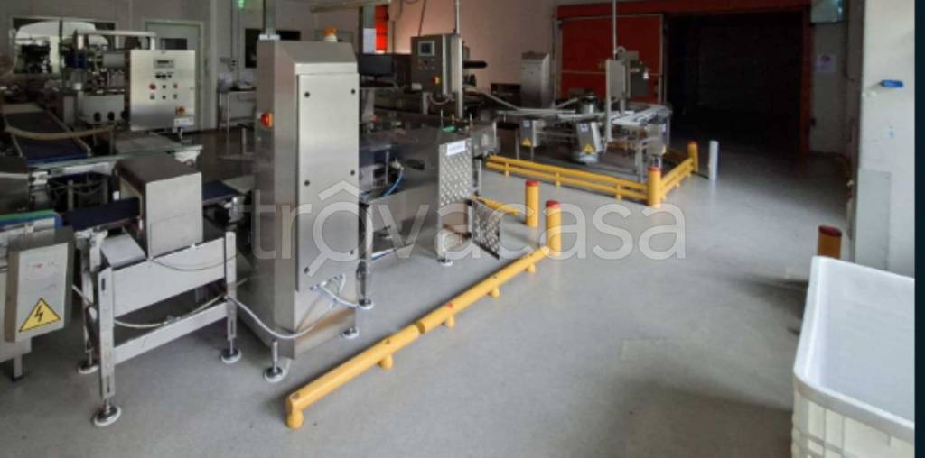 immagine annuncio 4 di 12