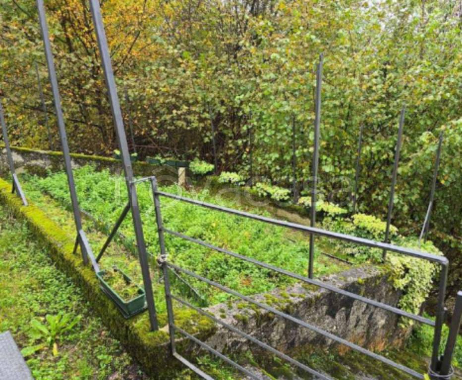 immagine annuncio 6 di 12