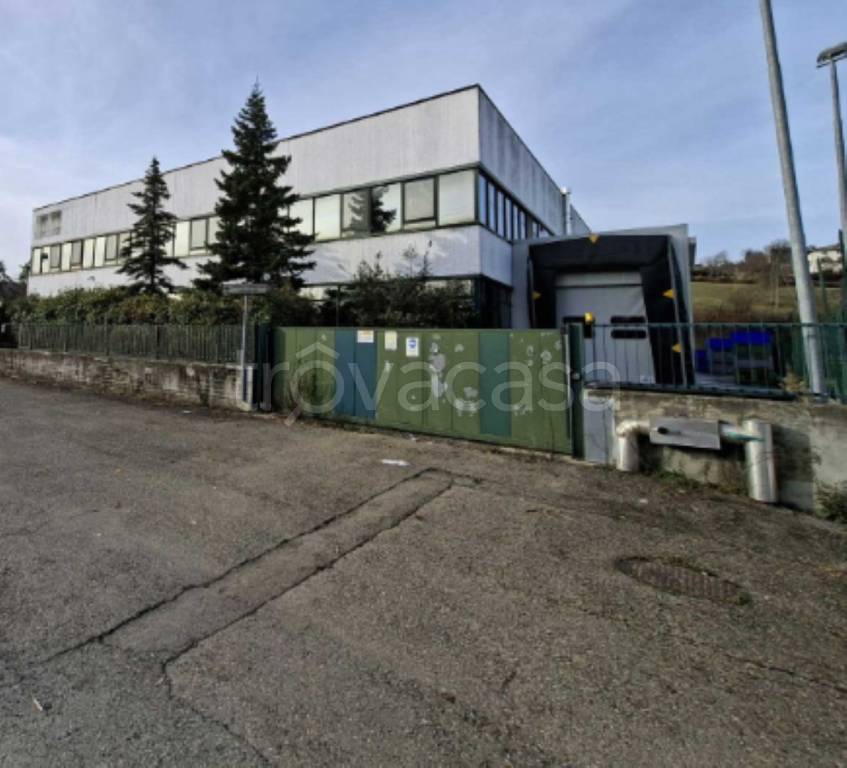 immagine annuncio 6 di 12