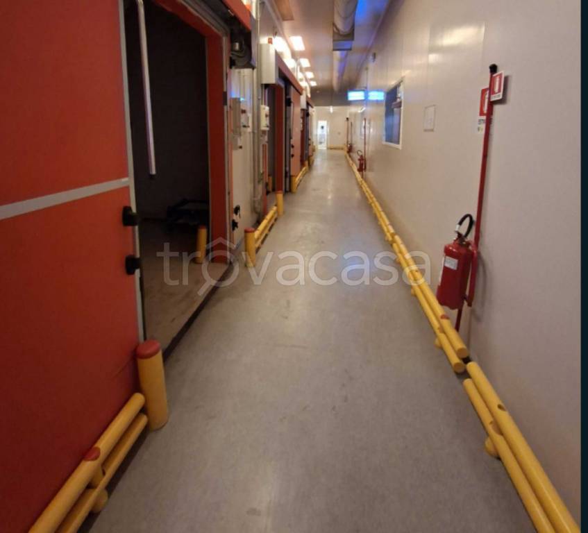 immagine annuncio 9 di 12