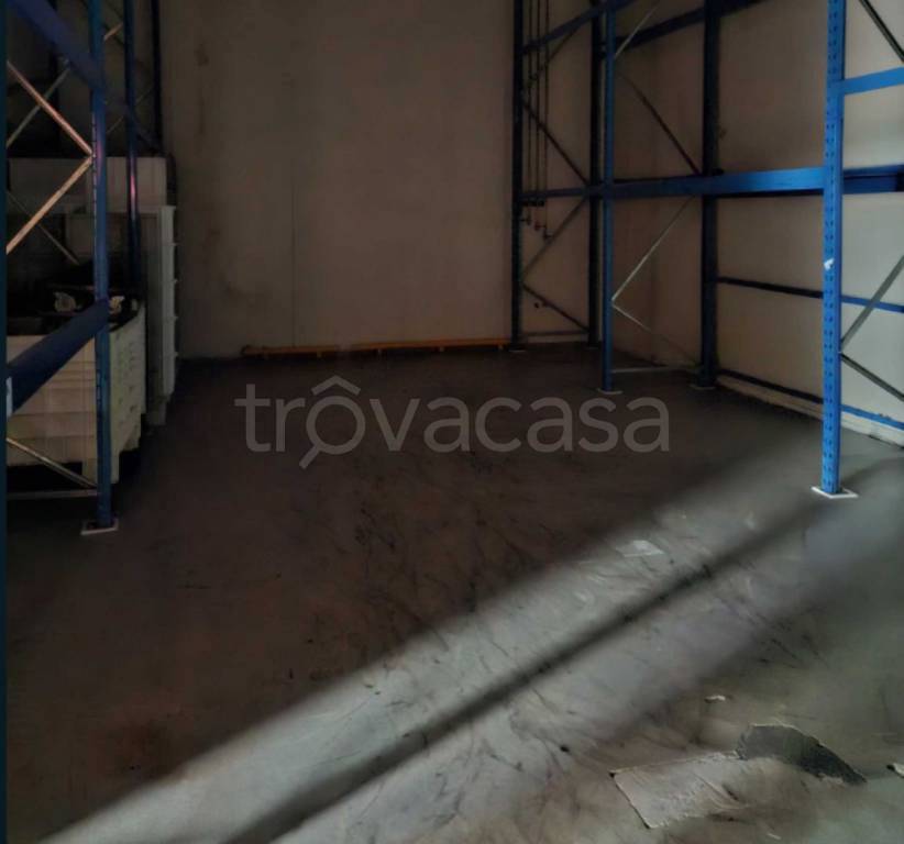 immagine annuncio 10 di 12