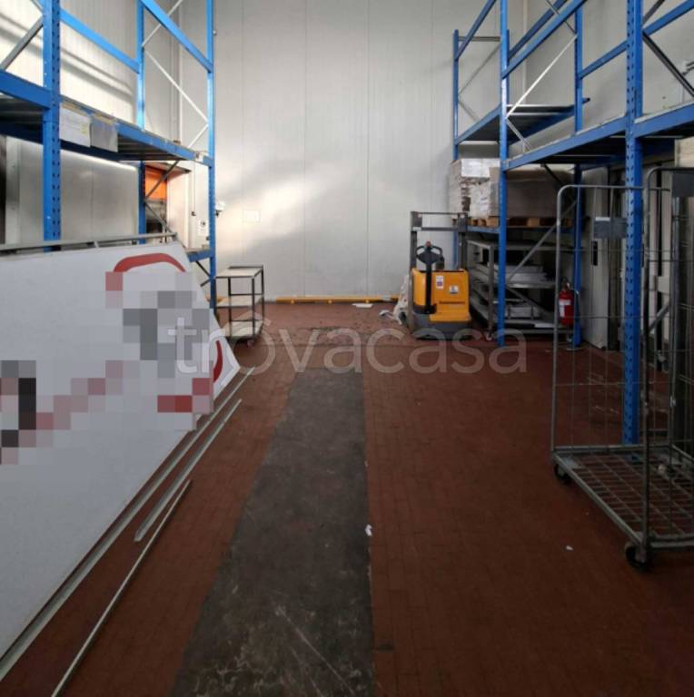 immagine annuncio 11 di 12