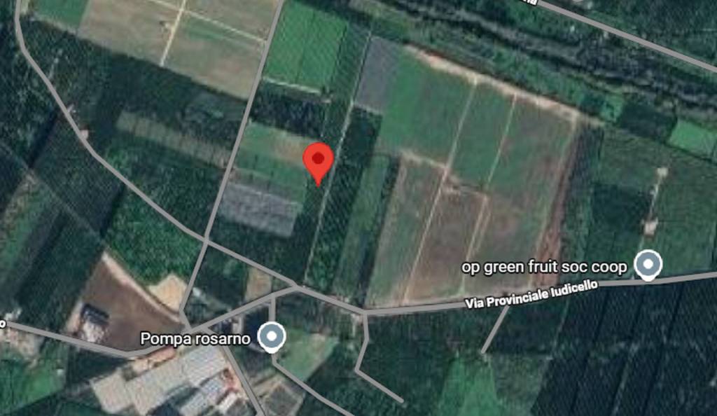 immagine annuncio 2 di 11