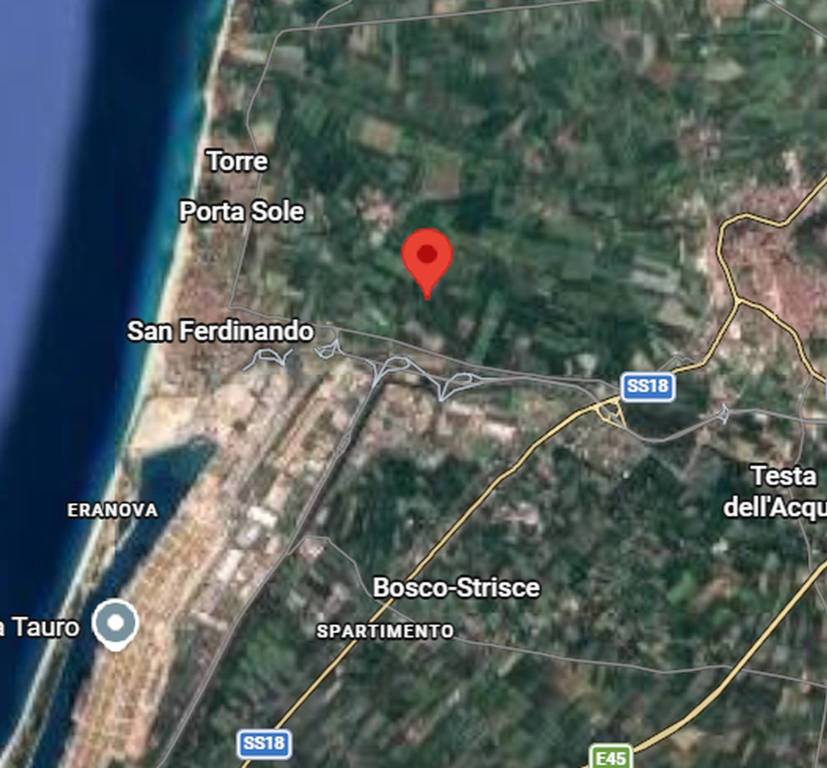 immagine annuncio 5 di 11