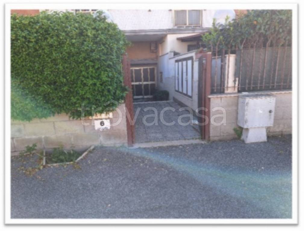 immagine annuncio 4 di 8