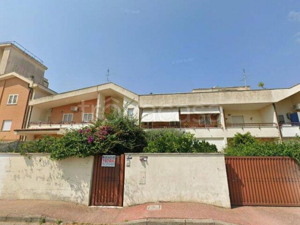 immagine annuncio 3 di 12