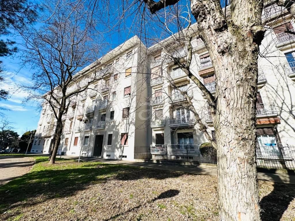 immagine annuncio 11 di 12