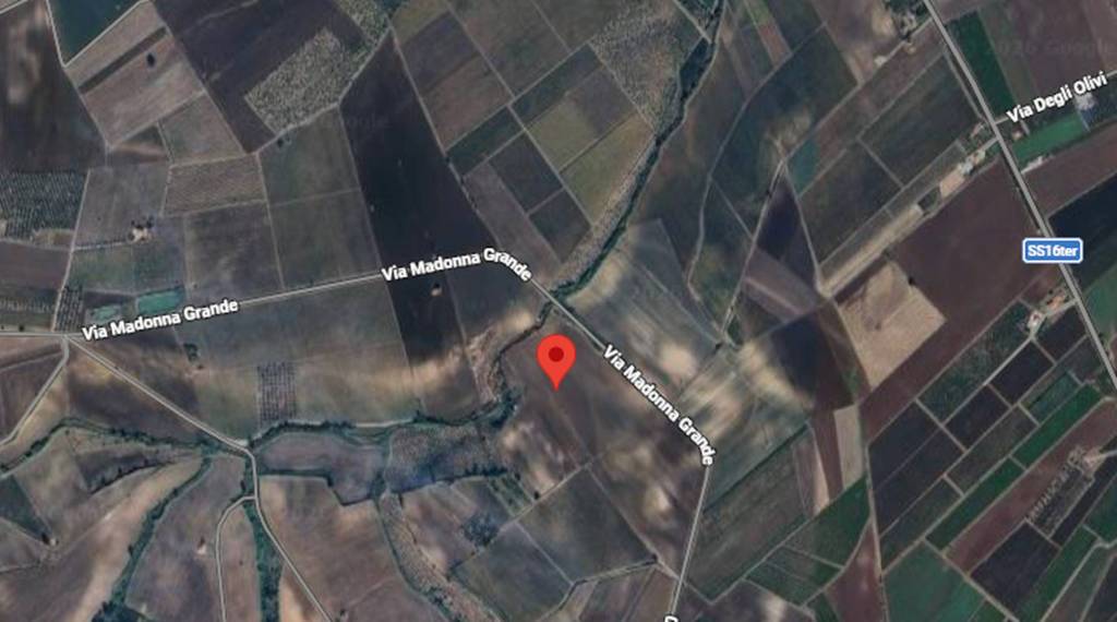 immagine annuncio 5 di 10