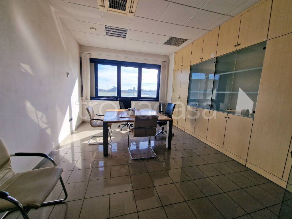 immagine annuncio 6 di 14