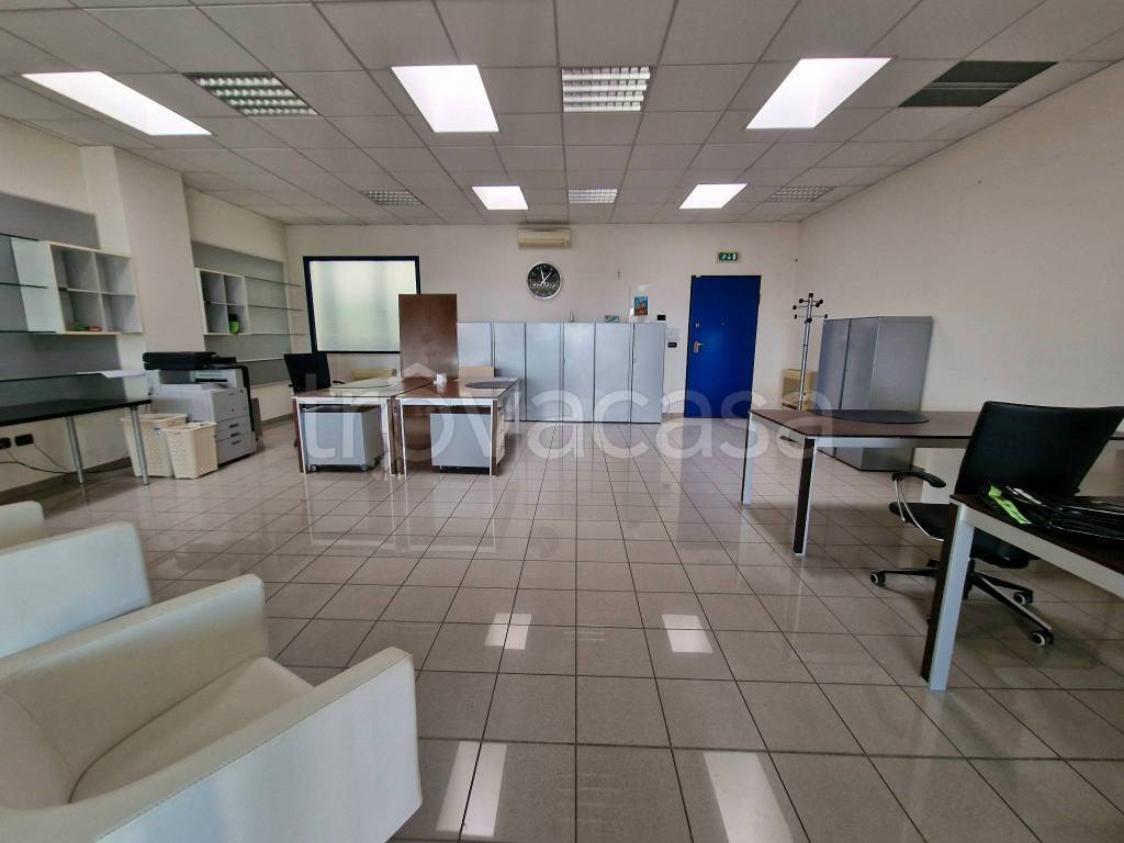 immagine annuncio 1 di 14