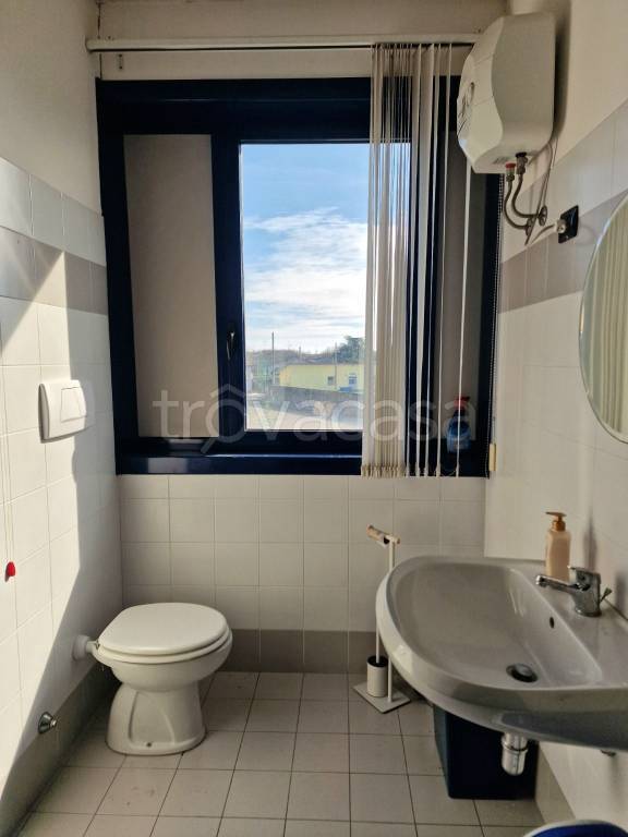 immagine annuncio 9 di 14