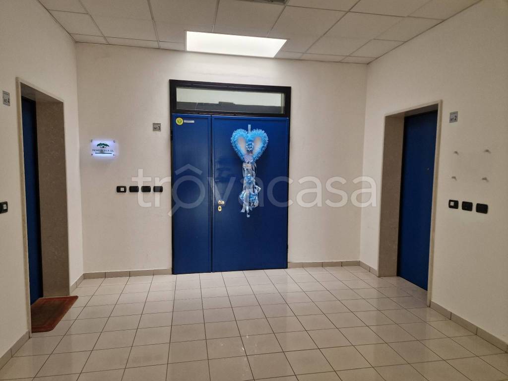 immagine annuncio 12 di 14