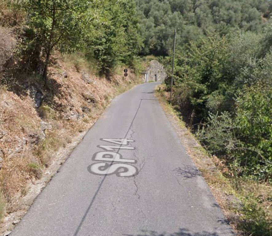 immagine annuncio 4 di 13