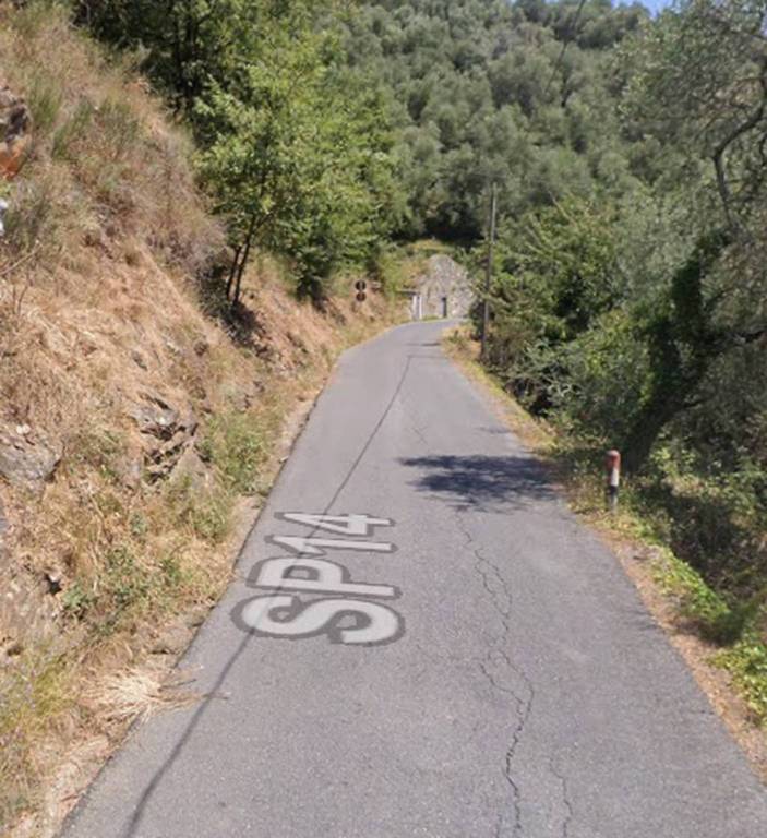 immagine annuncio 5 di 13