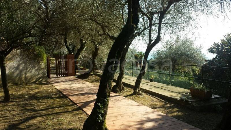 immagine annuncio 2 di 8