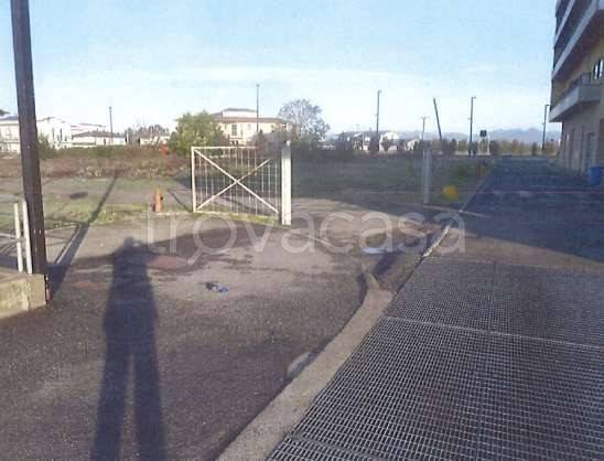 immagine annuncio 3 di 6