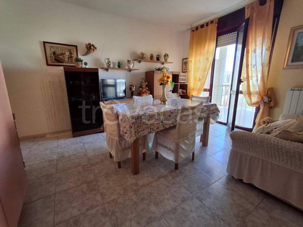 immagine annuncio 3 di 14