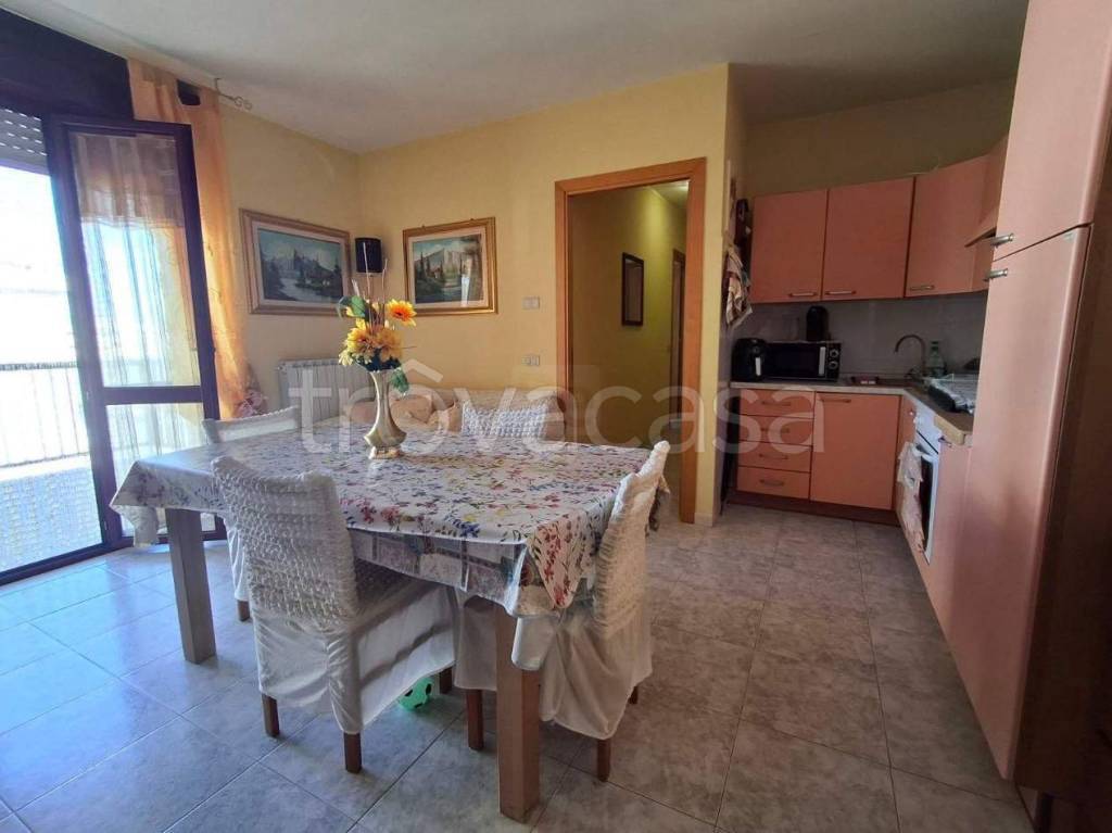 immagine annuncio 4 di 14