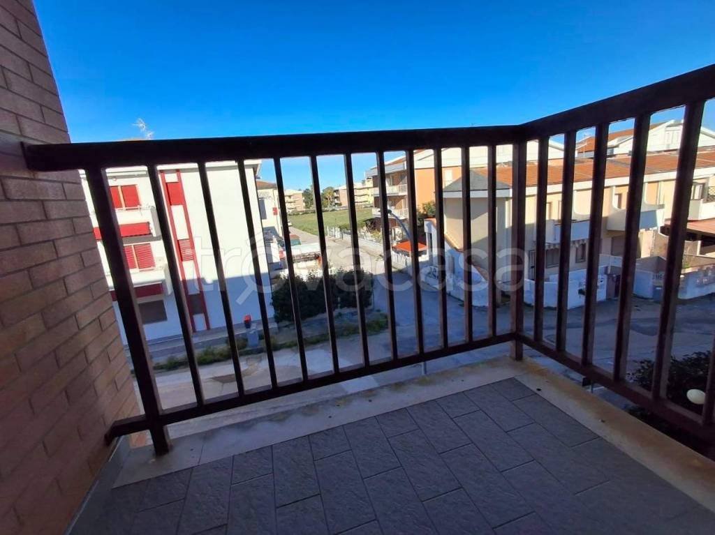 immagine annuncio 12 di 14