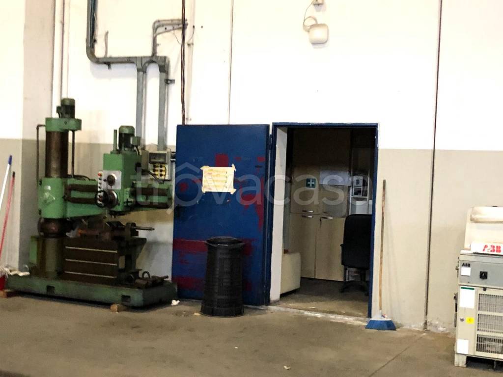 immagine annuncio 6 di 15