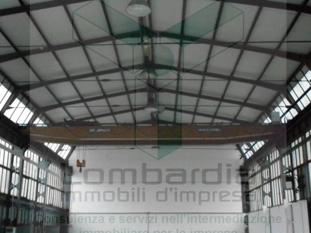 immagine annuncio 2 di 9