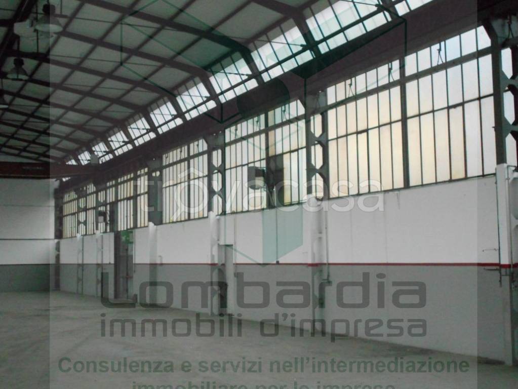 immagine annuncio 3 di 9