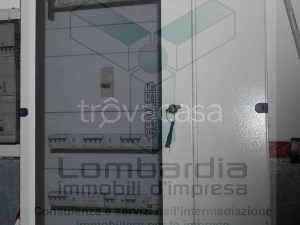 immagine annuncio 4 di 9