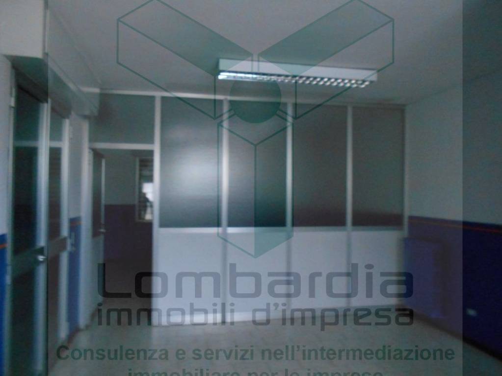 immagine annuncio 5 di 9