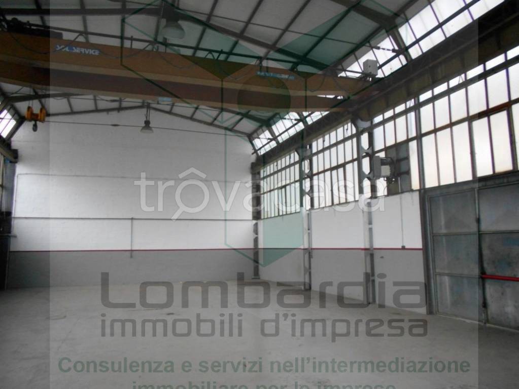 immagine annuncio 8 di 9