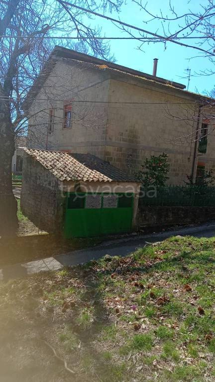 immagine annuncio 4 di 14