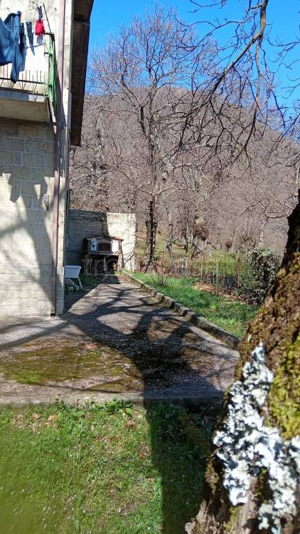 immagine annuncio 5 di 14