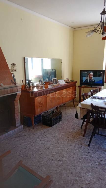 immagine annuncio 11 di 14