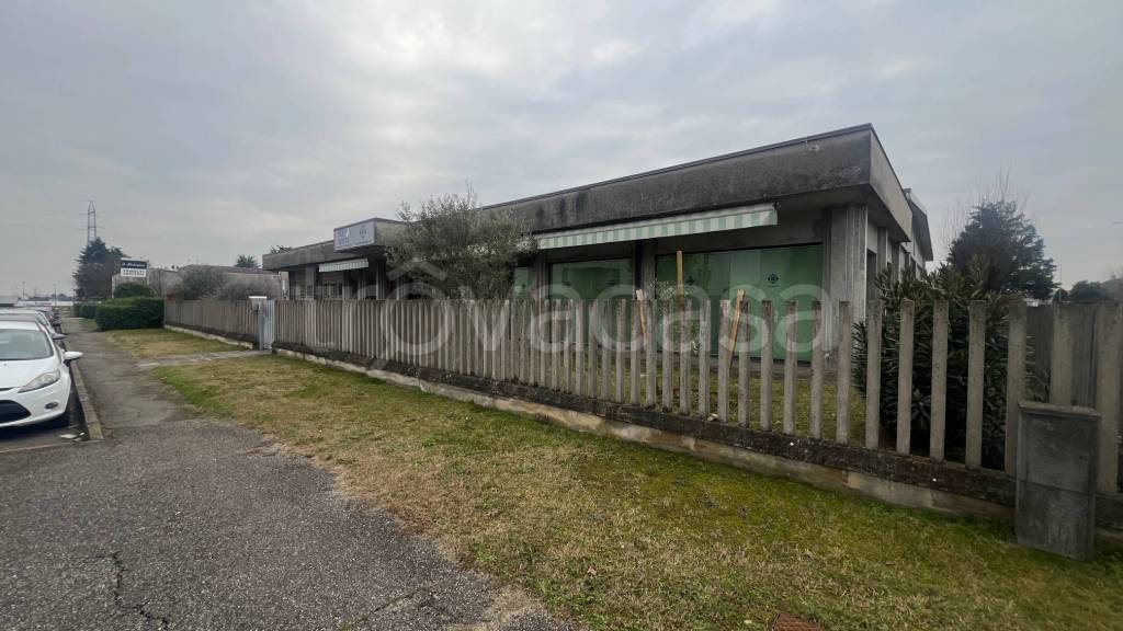 immagine annuncio 8 di 15