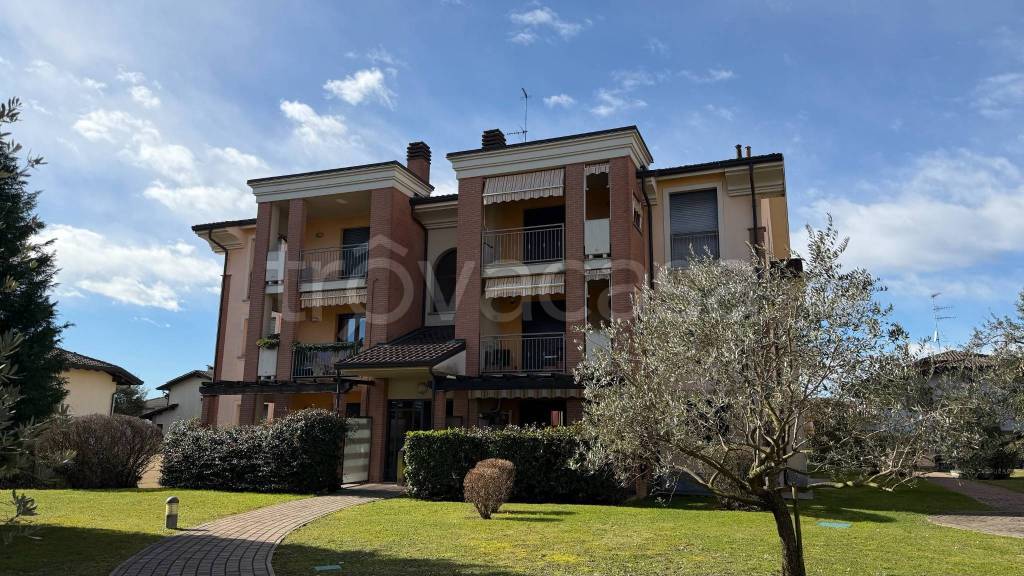 immagine annuncio 4 di 15