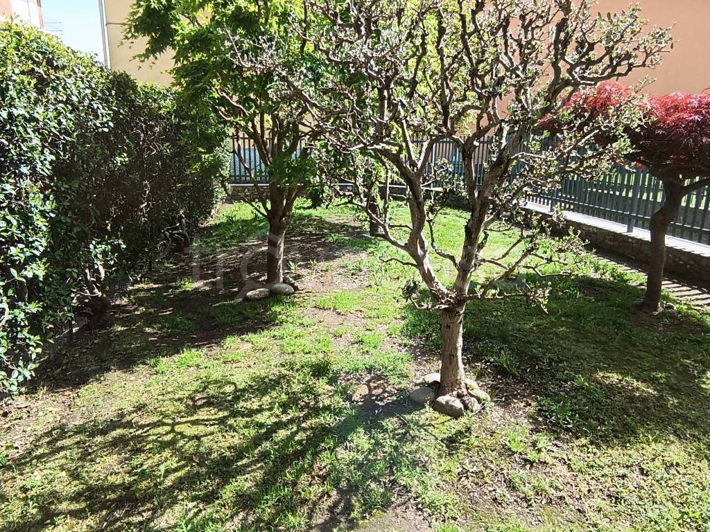 immagine annuncio 6 di 8