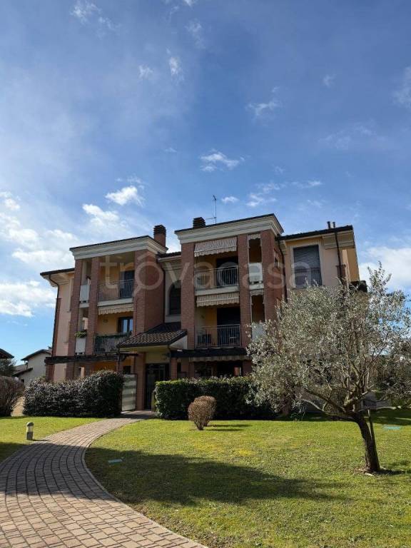 immagine annuncio 3 di 15