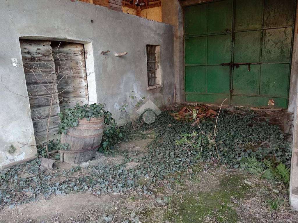 immagine annuncio 14 di 15
