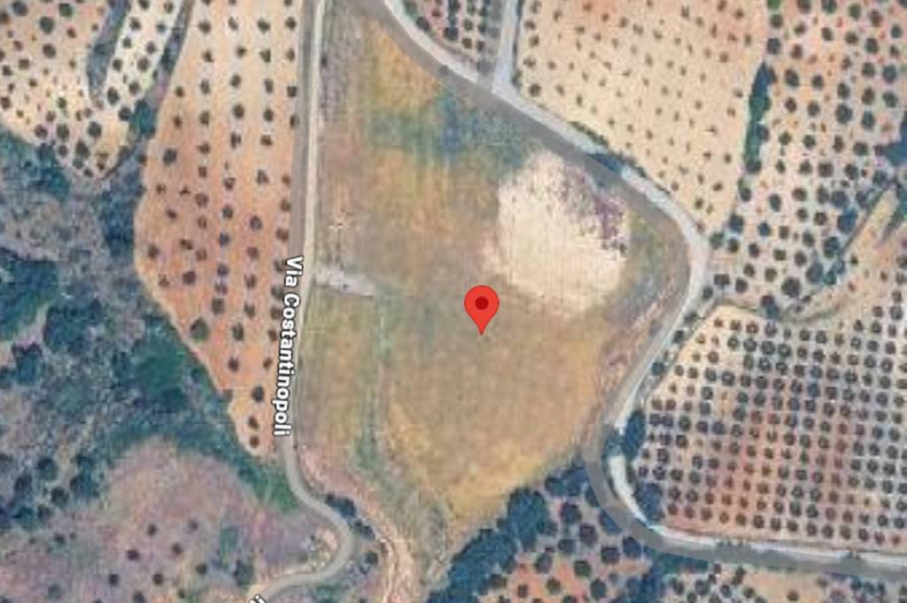 immagine annuncio 3 di 12