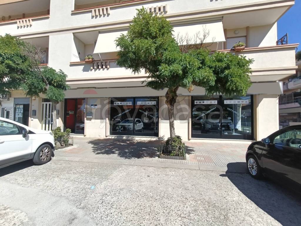 immagine annuncio 1 di 14